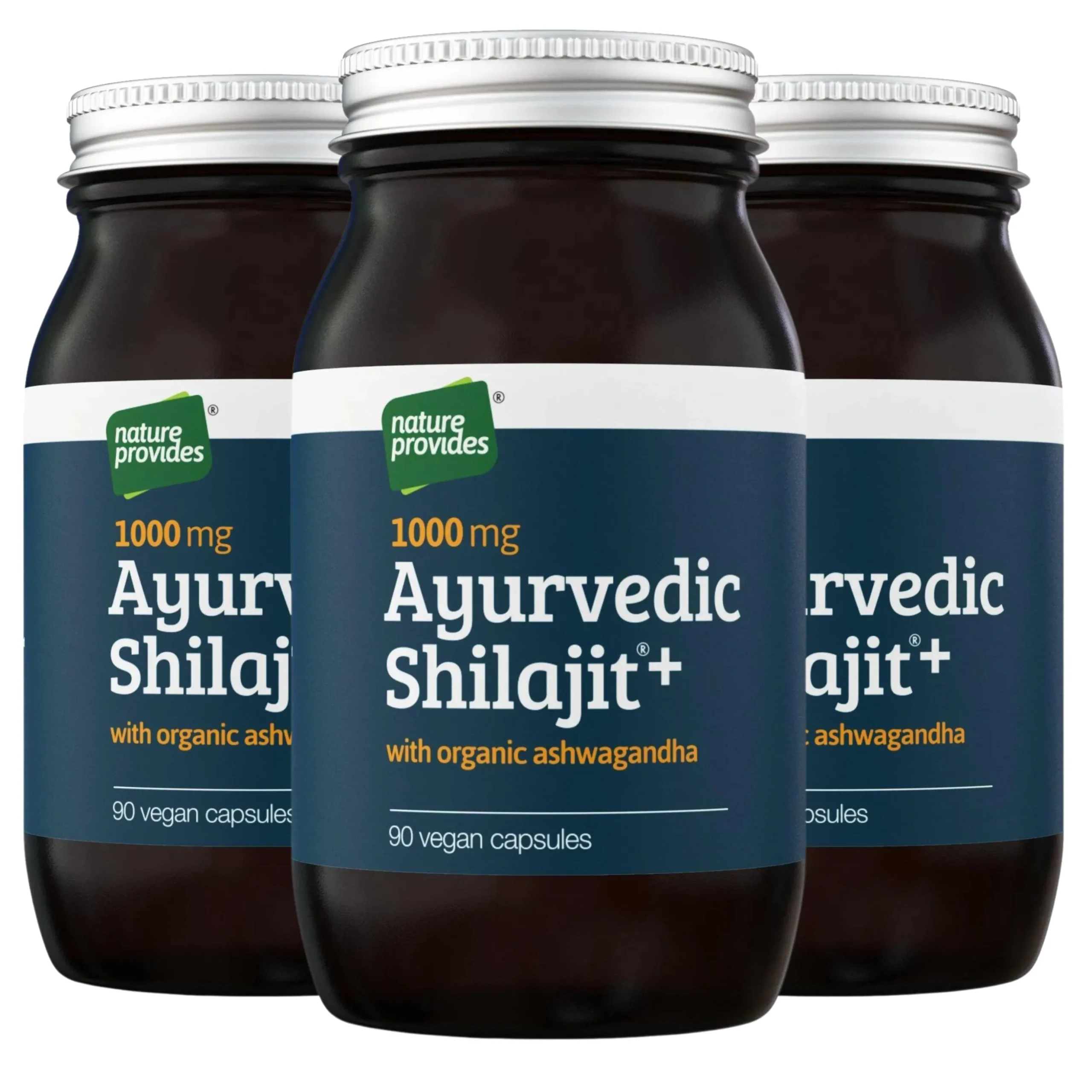Ayurvedic Shilajit+ Ashwagandha 3x90k