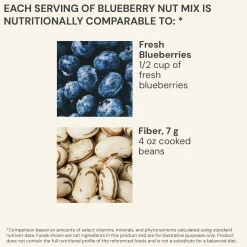 Blueberry Nut Mix 440g