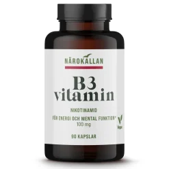 B3 Nikotinamid 100mg 90k