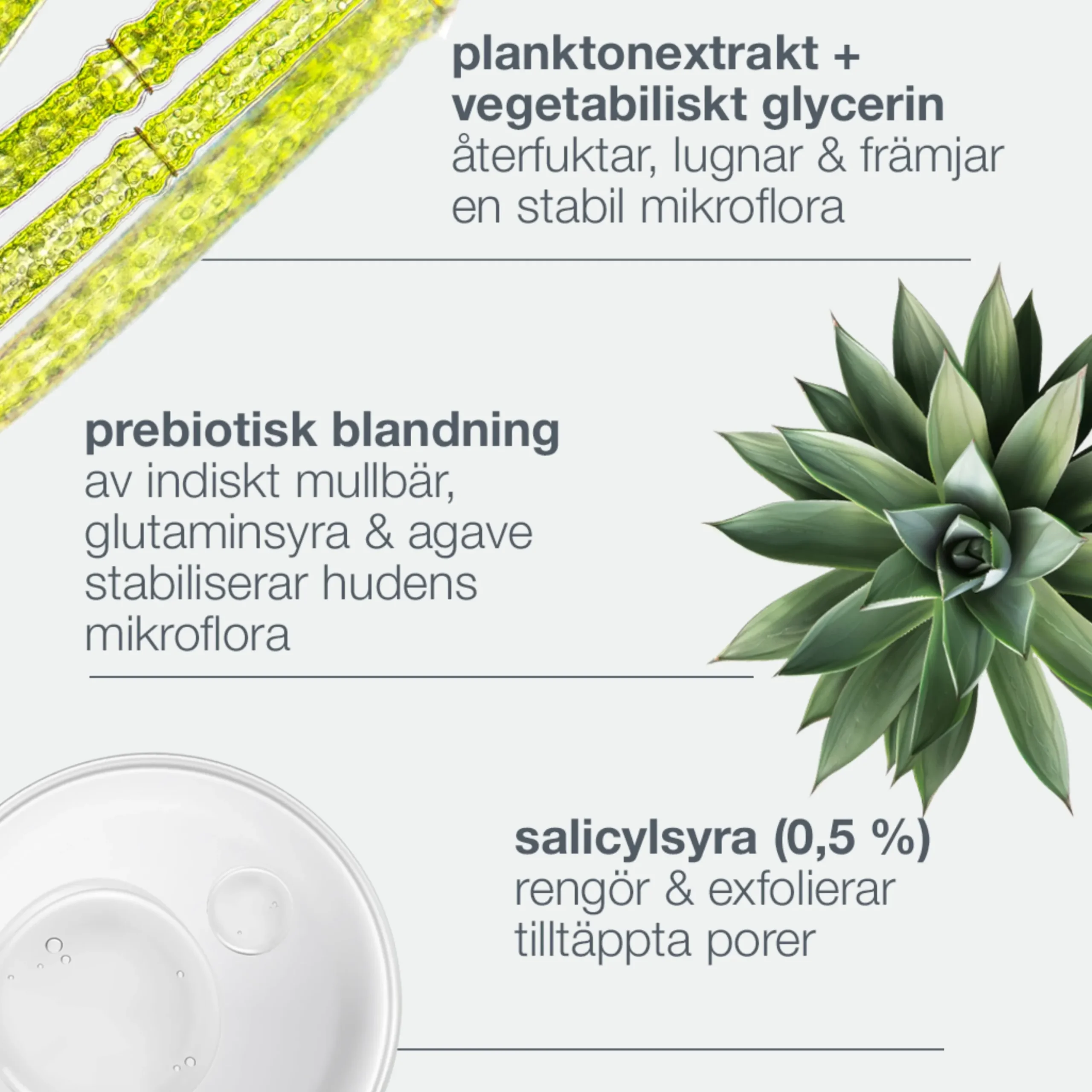 Breakout Biotic Moisturizer 50ml