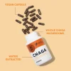Chaga Capsules 90k