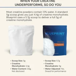 Creatine 570g