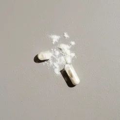 LactiDaily Multi Strain 20 stammar 30k