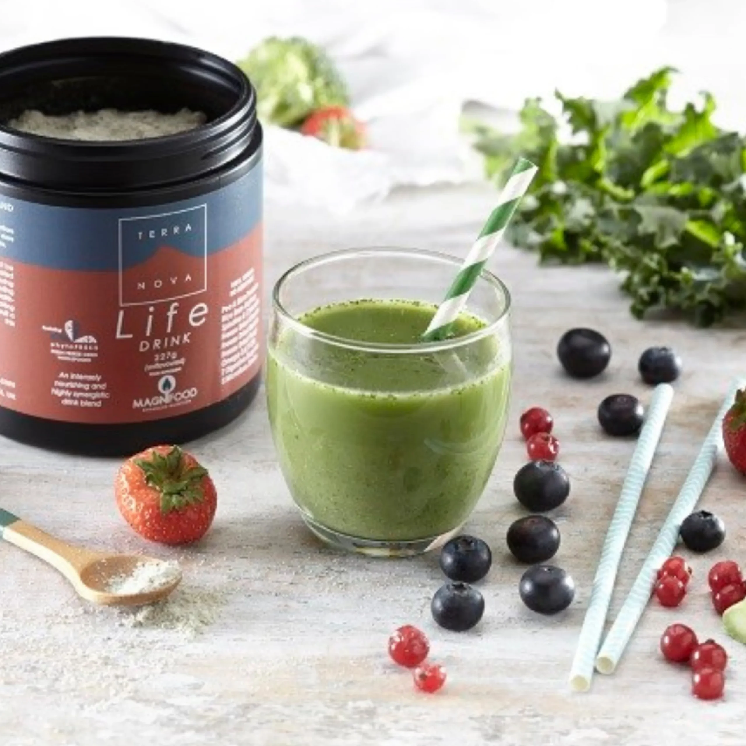 Life Drink 454g