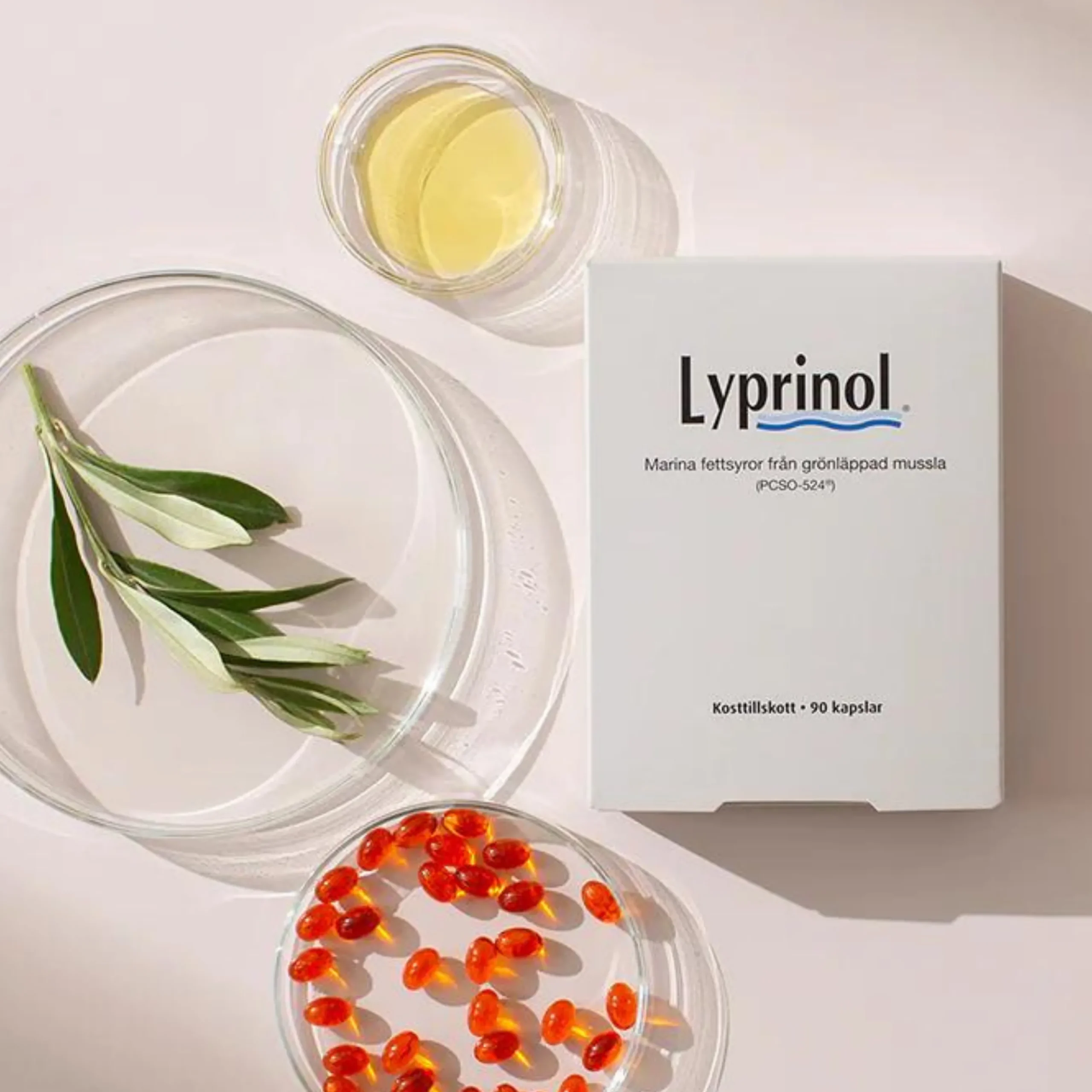 Lyprinol 90k
