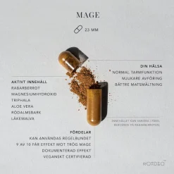 Mage 60k