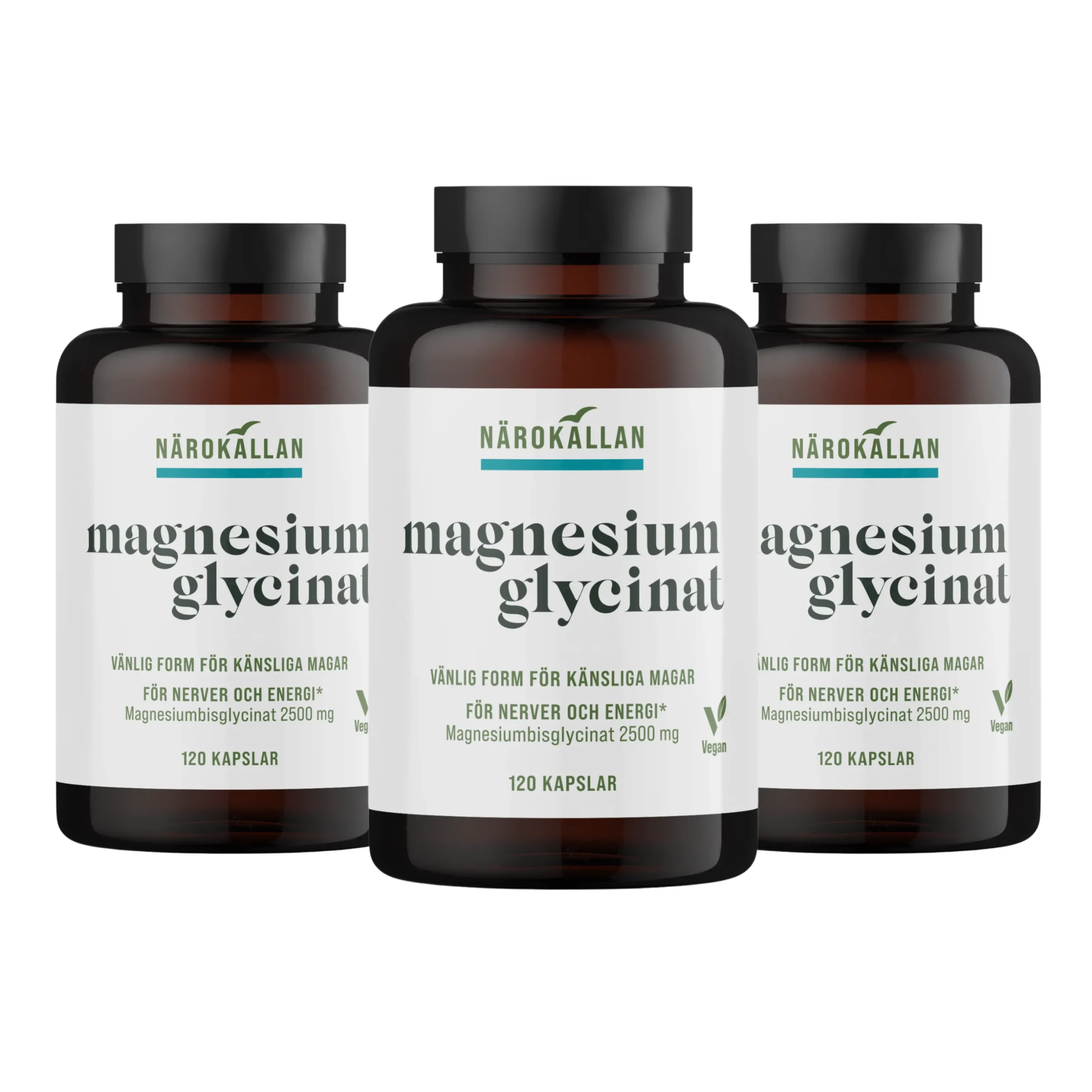 Magnesiumglycinat Ekonomipack 3x120k