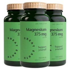 Magnesium 375mg Ekonomipack 3x100t