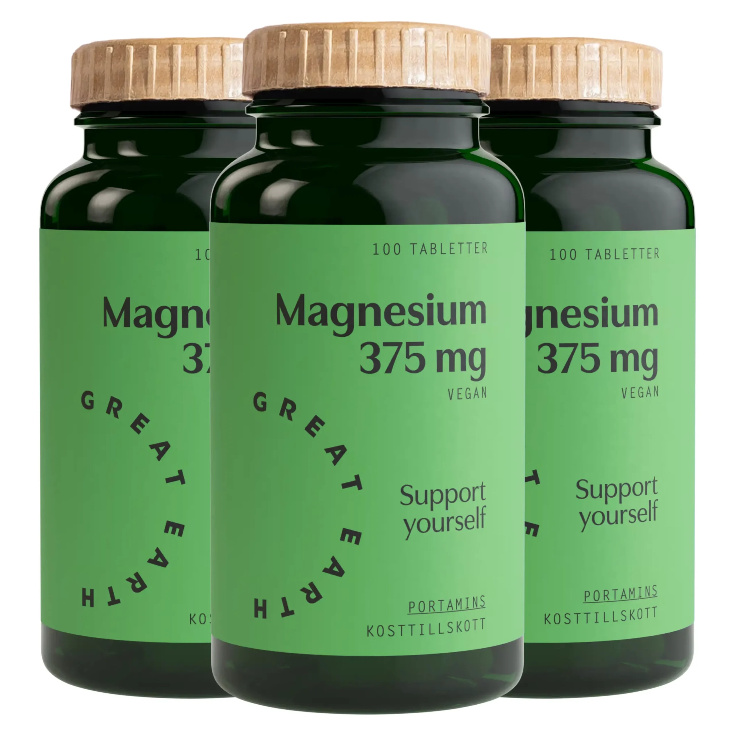 Magnesium 375mg Ekonomipack 3x100t