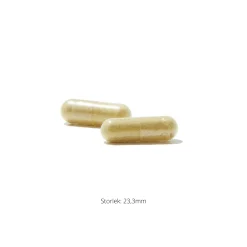 Olive Leaf Extract 60k