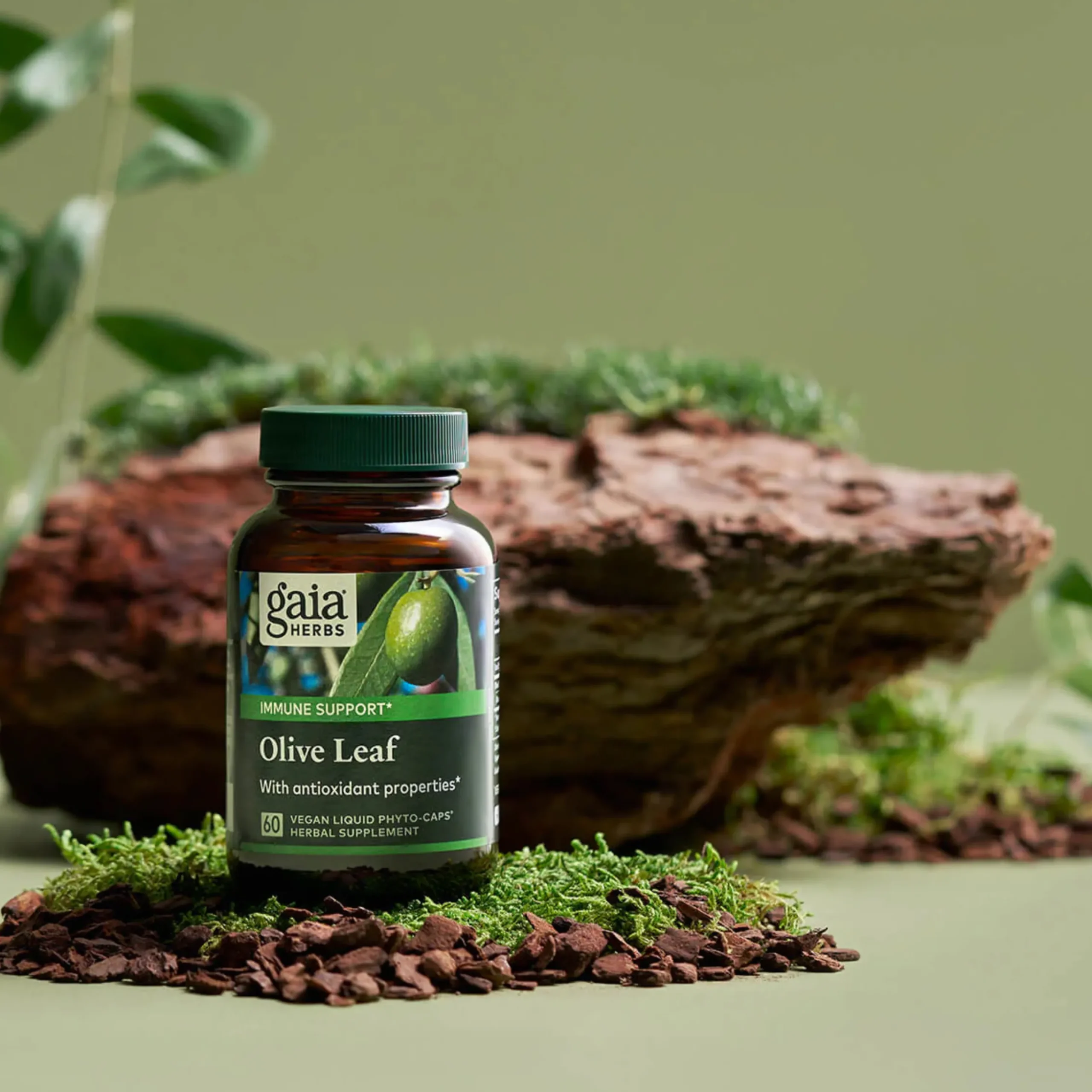 Olive Leaf Extract 60k