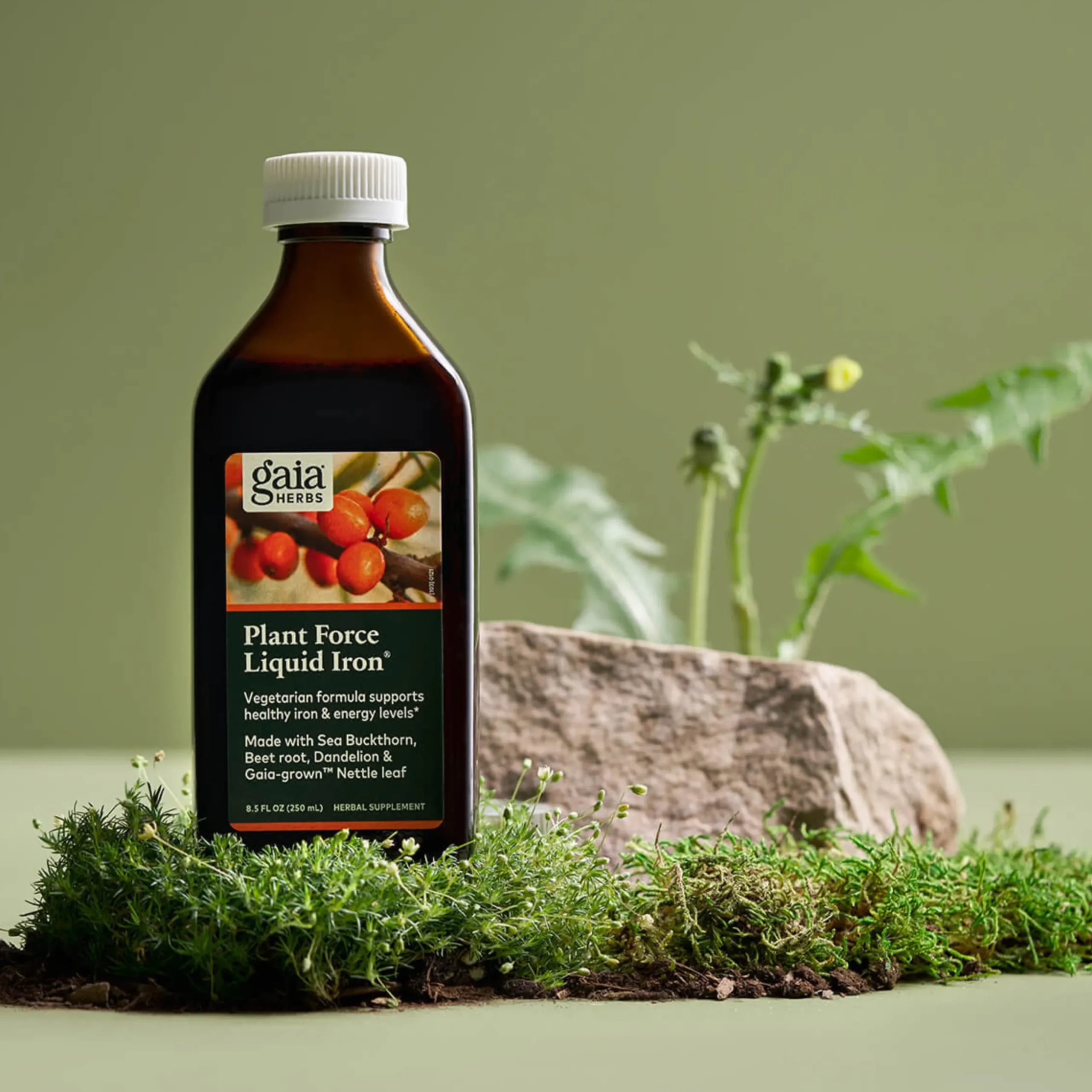 Plant Force Liquid Iron 250ml