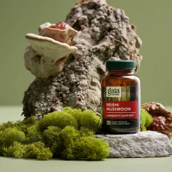 Reishi Mushroom 40k