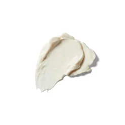 Skin Food Nourishing Day Cream 40ml