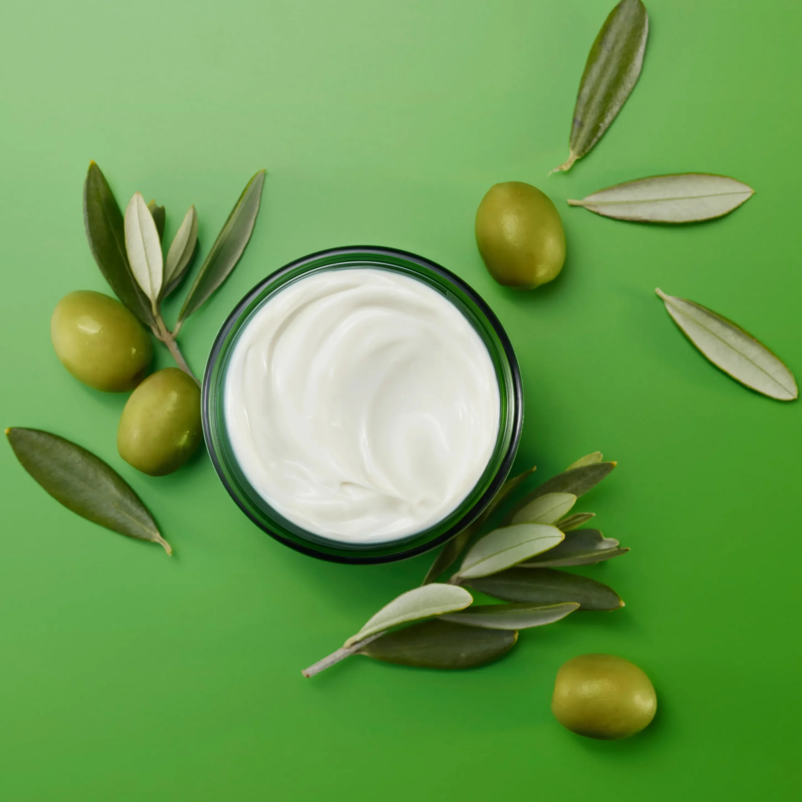 Skin Food Nourishing Day Cream 40ml