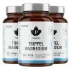 Trippel Magnesium Ekonomipack 3x120k