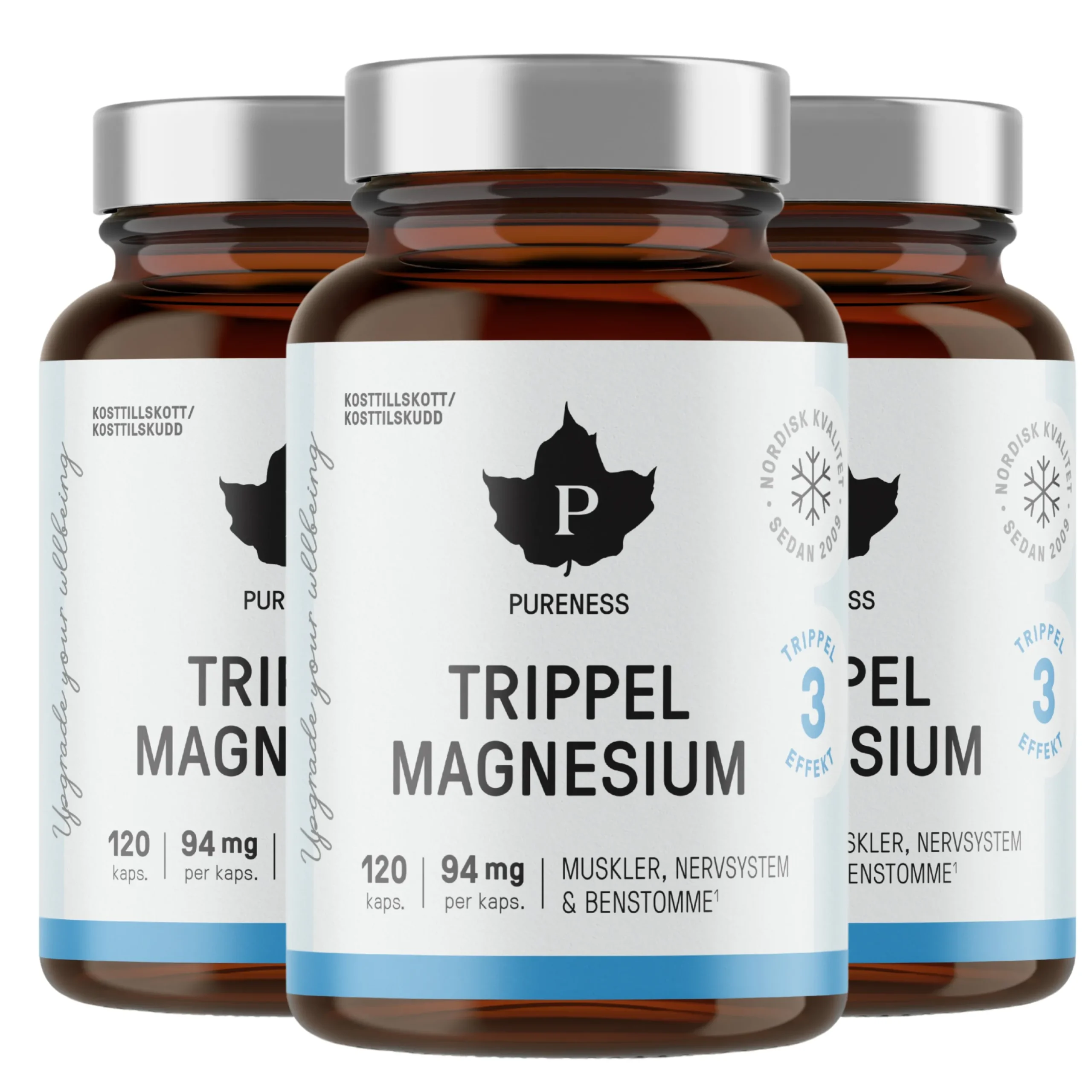 Trippel Magnesium Ekonomipack 3x120k