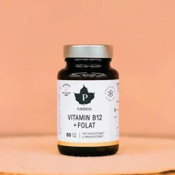 Vitamin B12 + Folat Hallon 60t